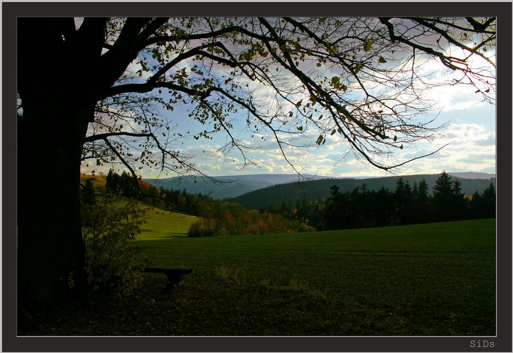 Ein Ort zum Verweilen