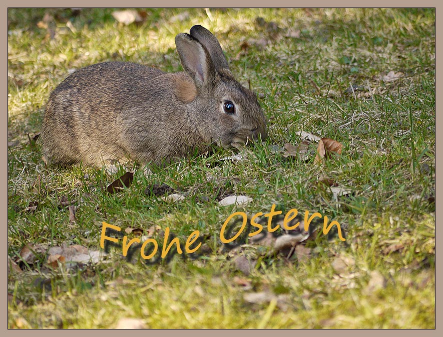 „ein Ostergruß„