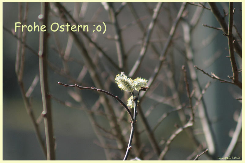 . . . ein Ostergruß ;o)