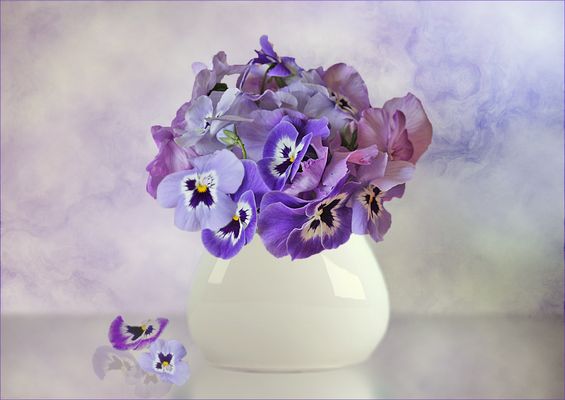 Ein paar Blümchen zum Wochenanfang