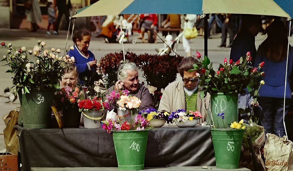 Ein paar Eimer Buntes .... Polen 1984 (Scan vom Dia) 