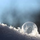 Ein paar Eisblümchen zum Mittwoch