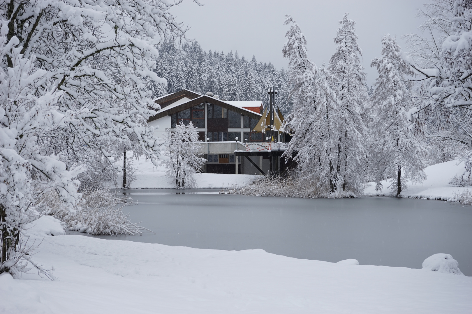 Ein paar Farben trotzen die Winter Kälte