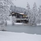 Ein paar Farben trotzen die Winter Kälte