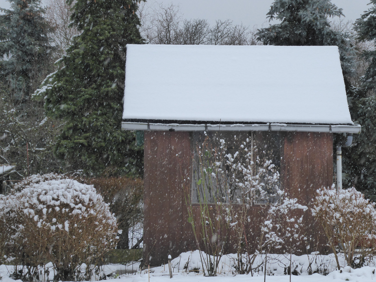 ein paar Flöckchen am Gartenhaus