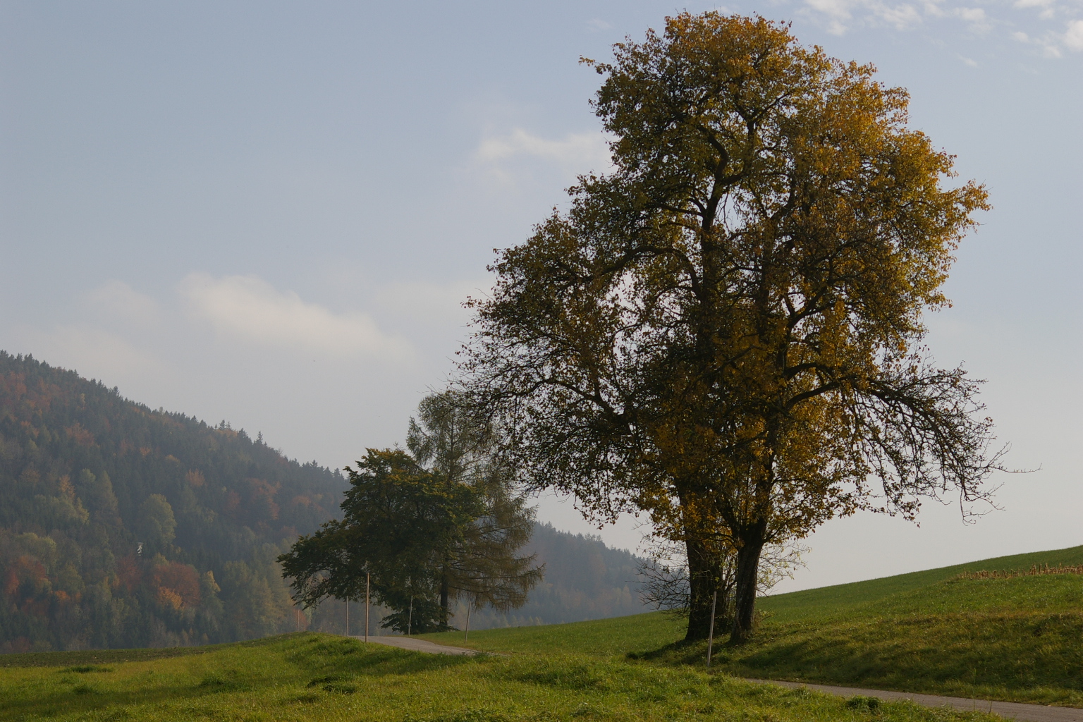 Ein Paar im Herbst