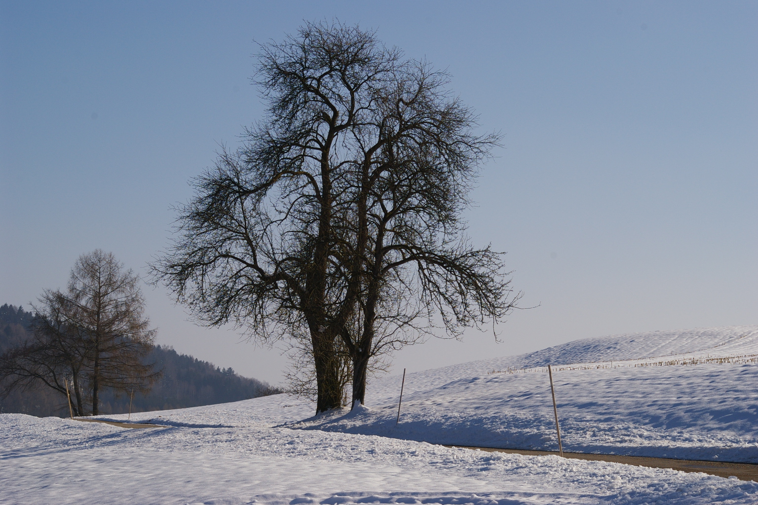 Ein Paar im Schnee