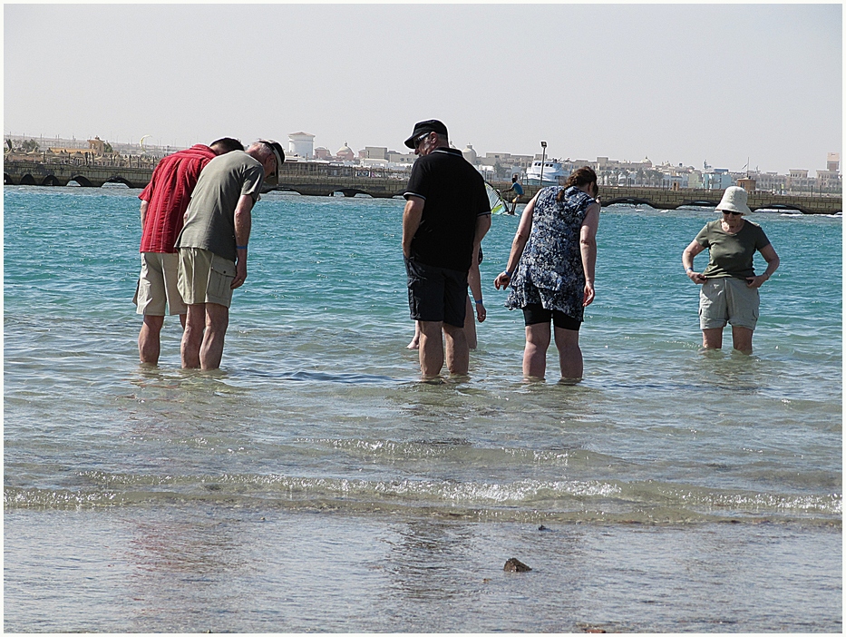 ein paar Schwaben im roten Meer