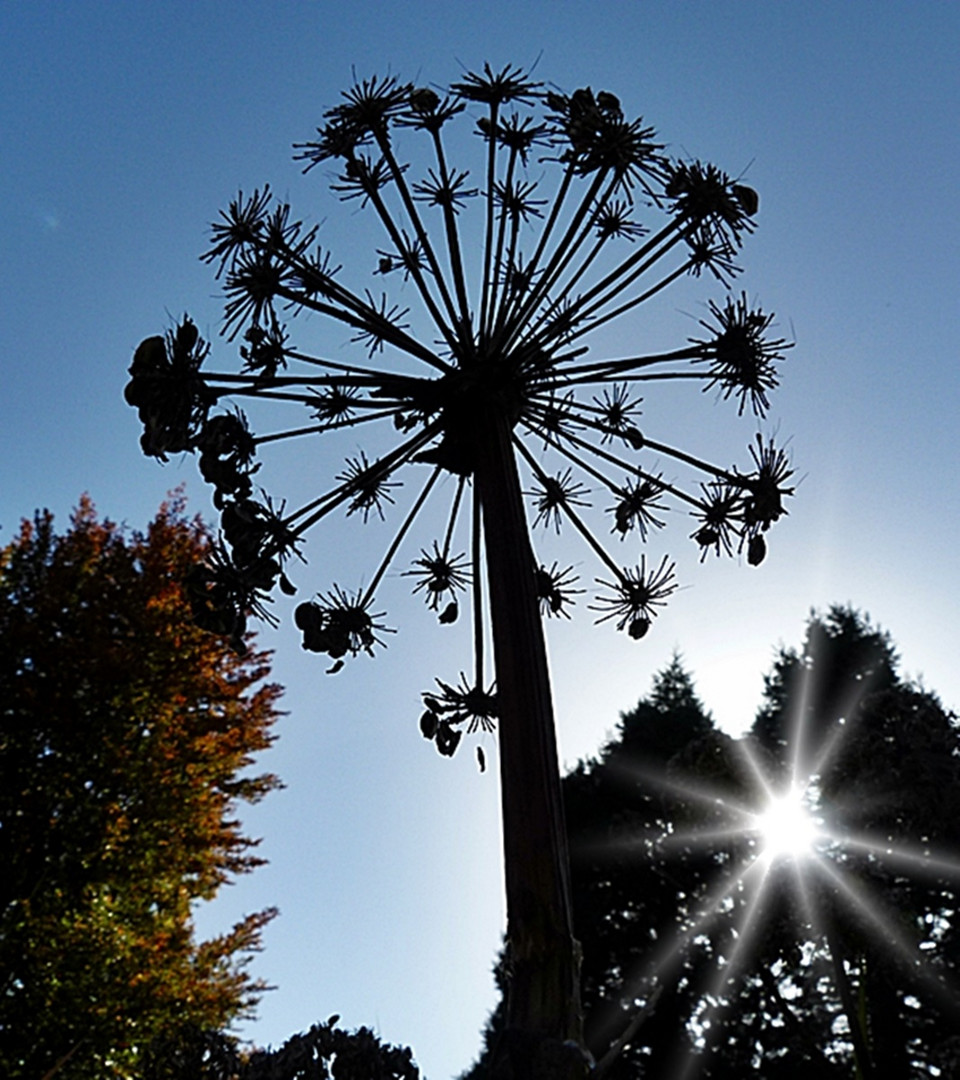 Ein paar Sonnenstrahlen . . .