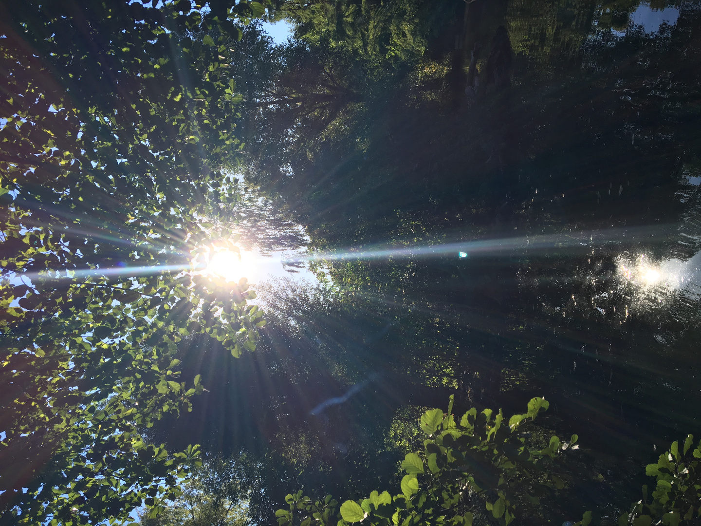 ein Paar Sonnenstrahlen