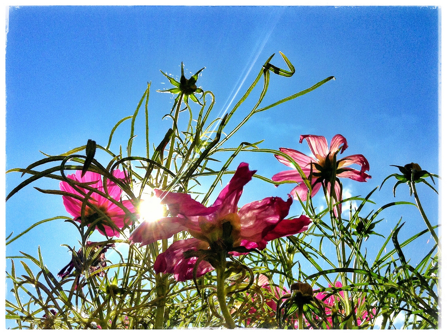 Ein paar Sonnenstrahlen für Euch