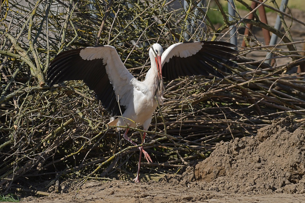 Ein paar Stunden mit dem Baustorch 01