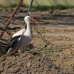 Ein paar Stunden mit dem Baustorch 03