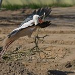 Ein paar Stunden mit dem Baustorch 04