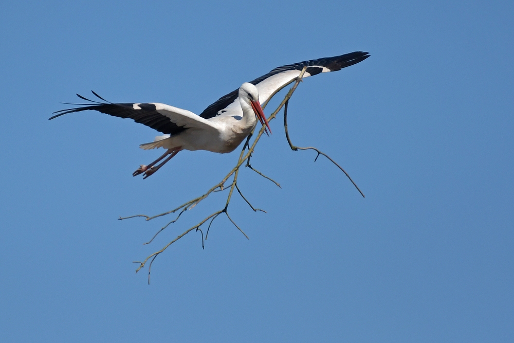 Ein paar Stunden mit dem Baustorch 06