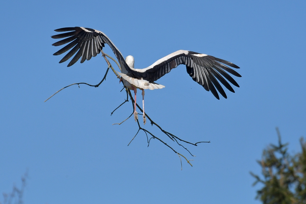 Ein paar Stunden mit dem Baustorch 07