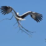 Ein paar Stunden mit dem Baustorch 07