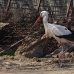 Ein paar Stunden mit dem Baustorch 08