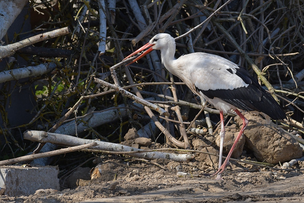 Ein paar Stunden mit dem Baustorch 09