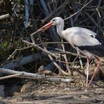 Ein paar Stunden mit dem Baustorch 09