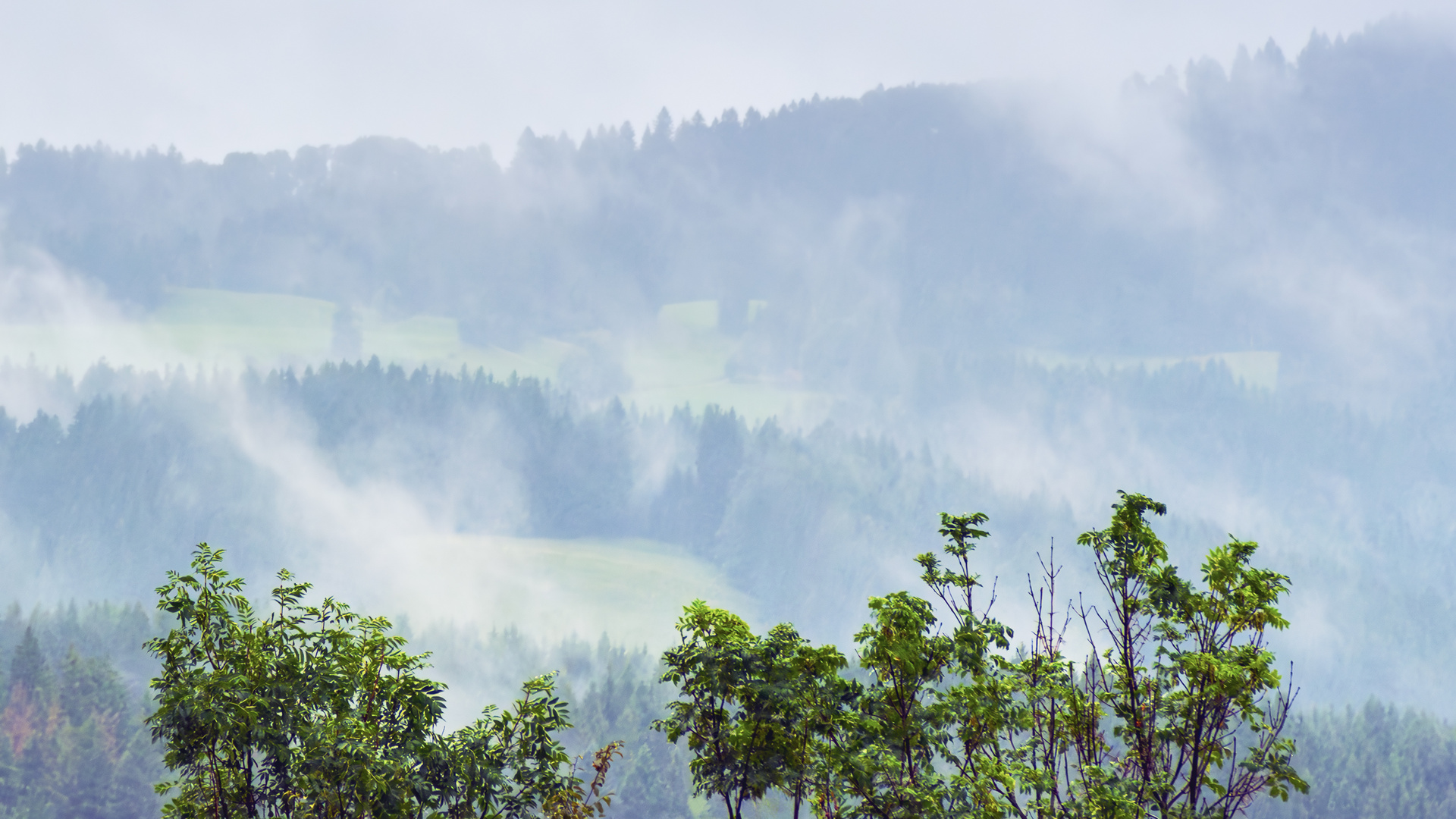 Ein paar Tage im Allgäu...