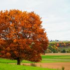 Ein paar Tage später...II