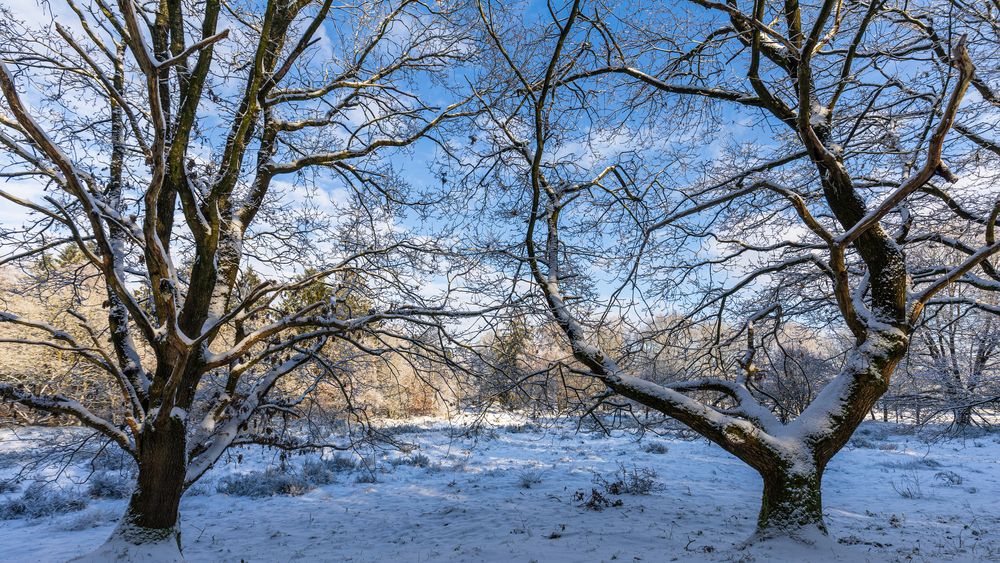 ein paar tage winter