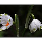 ein Paar vom Regen überrascht