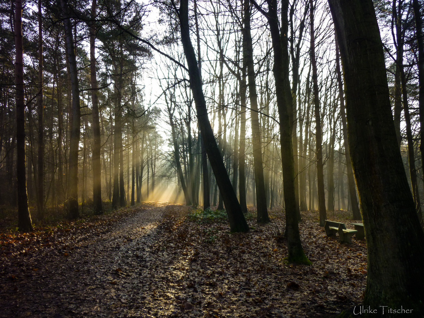 Ein paar wärmende Sonnenstrahlen :-)