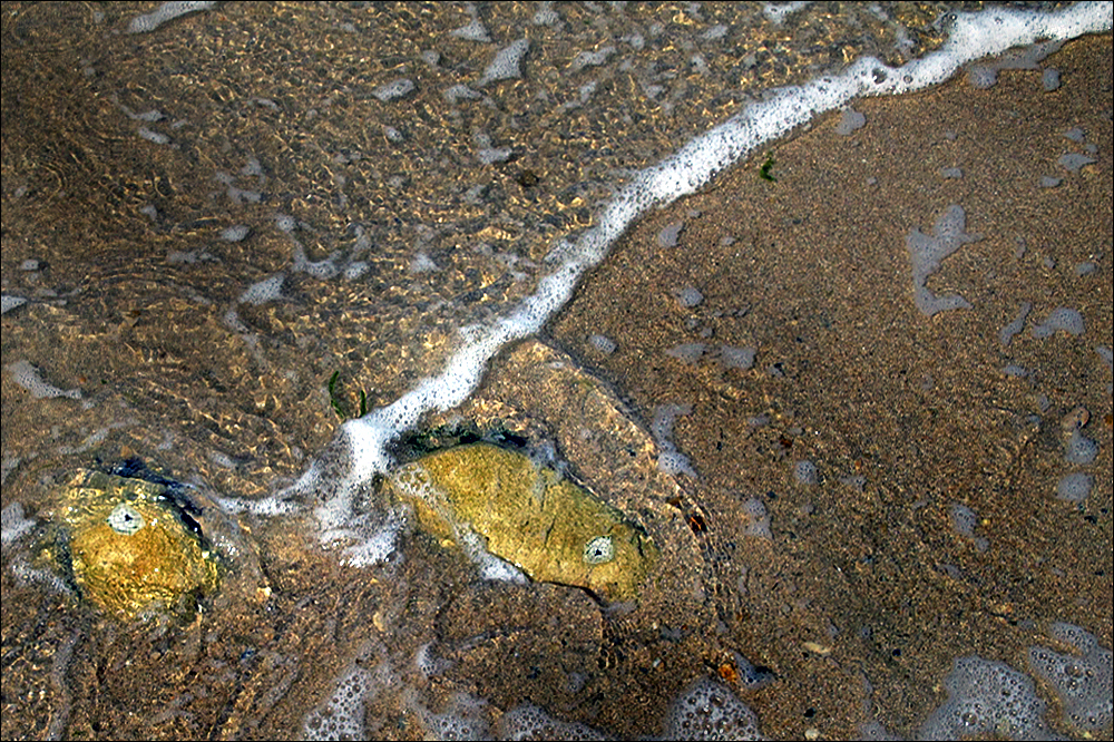 Ein Pärchen auf dem Wasserbett, -