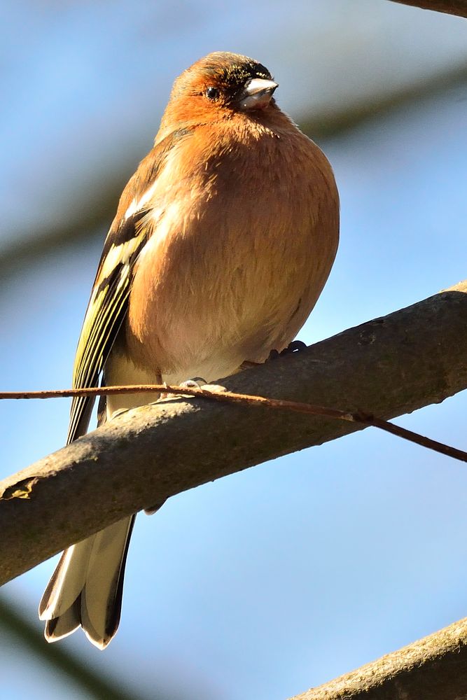 Ein Päuschen in der Sonne.