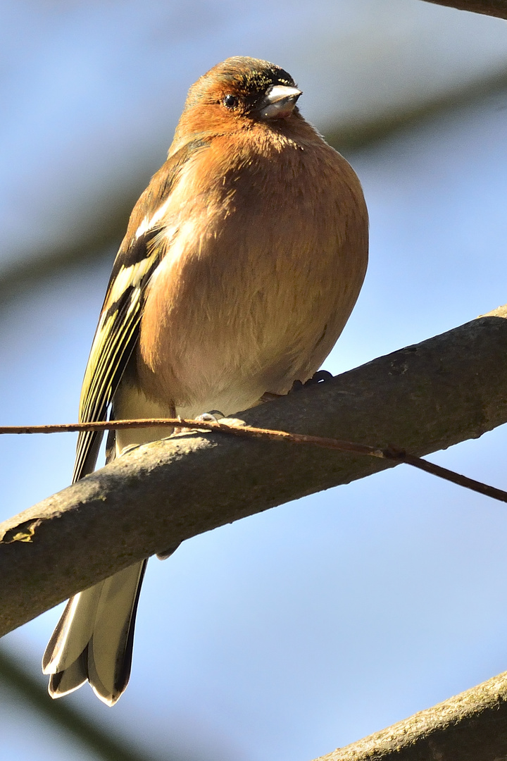 Ein Päuschen in der Sonne.