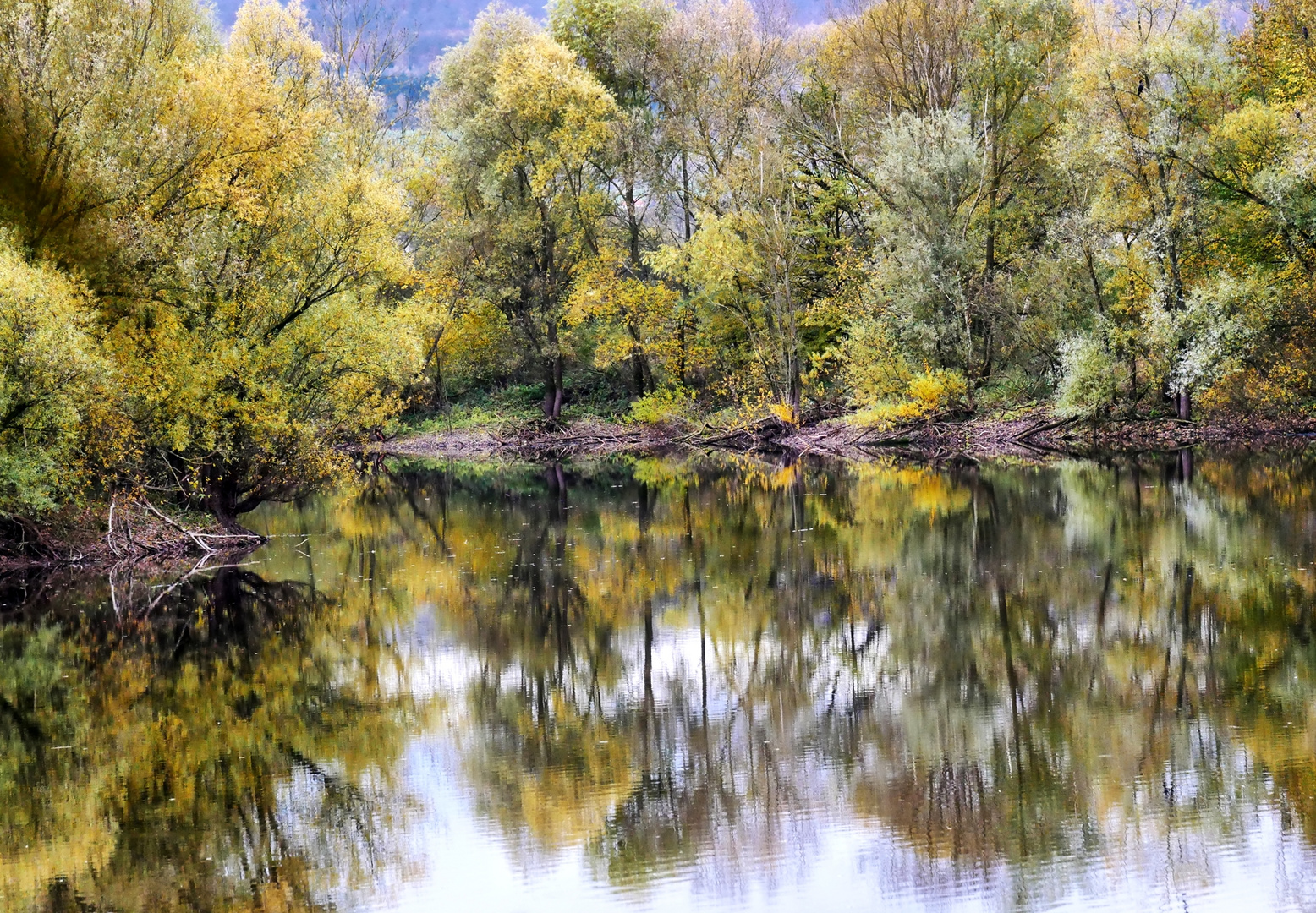 Ein Paradies für Biber