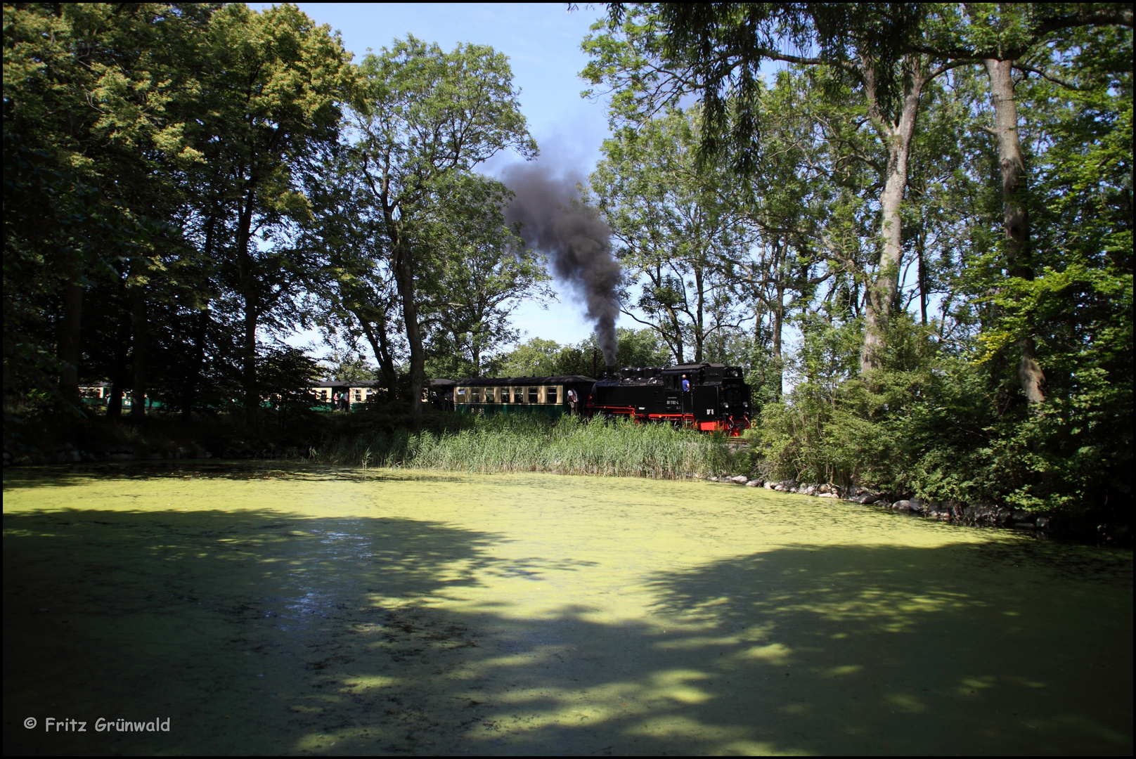 Ein Paradies für Enten