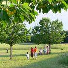 Ein Paradies für Kinder