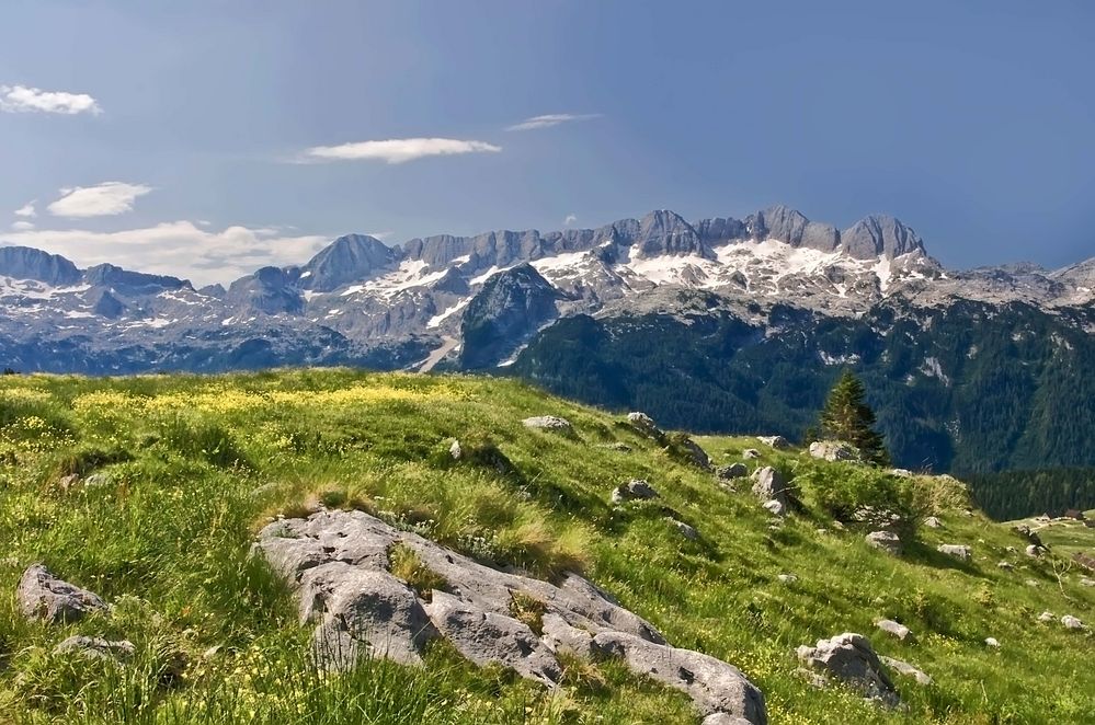 Ein Paradies für Murmeltiere