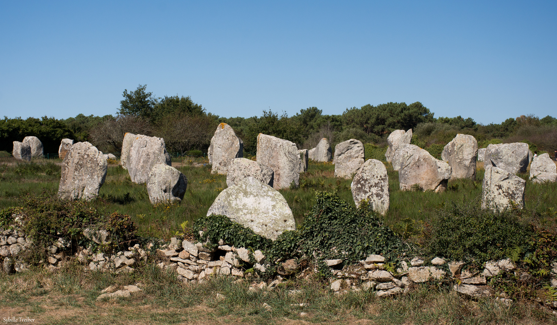 Ein Paradies für Obelix