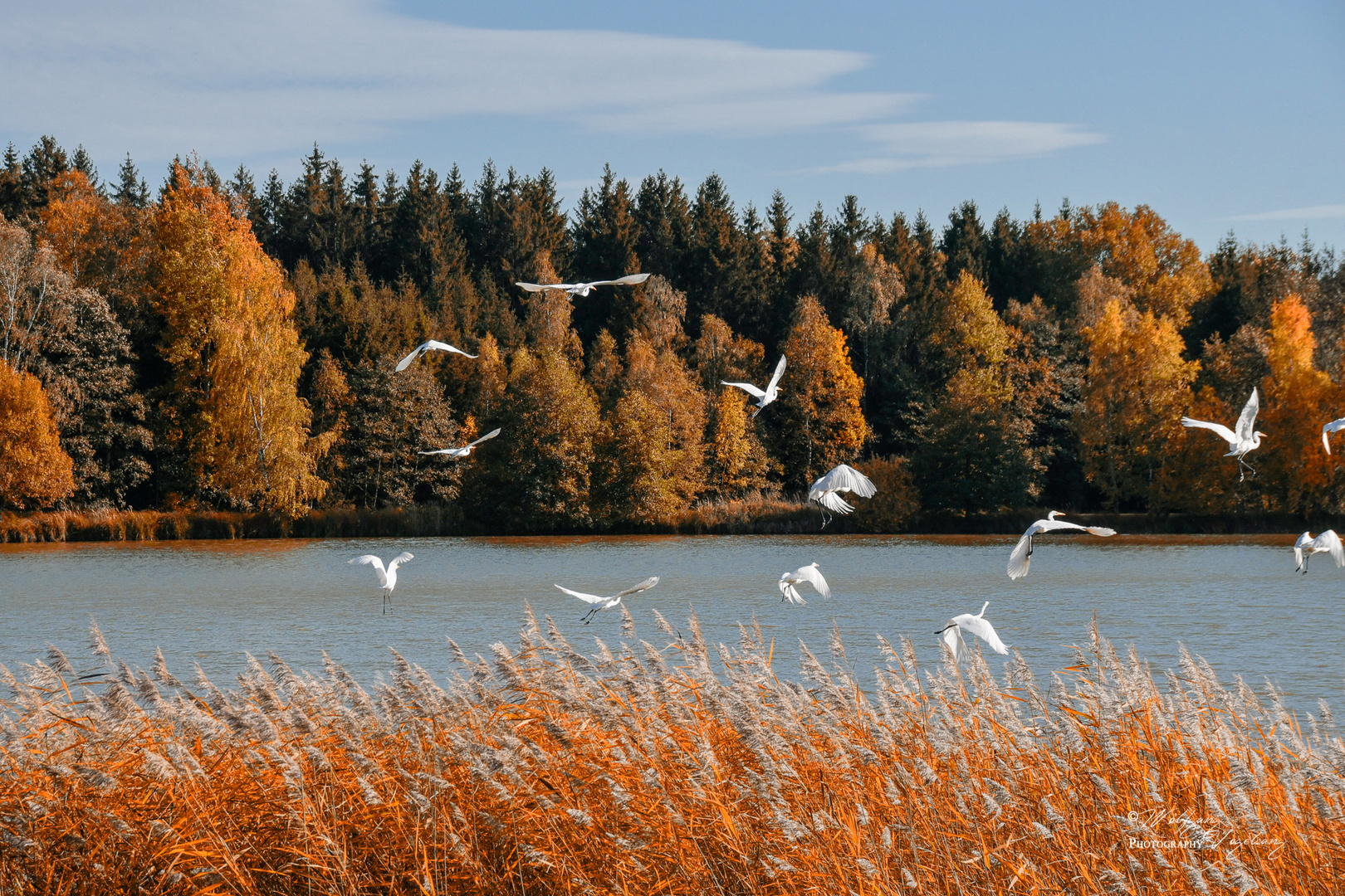 Ein Paradies für Vögel