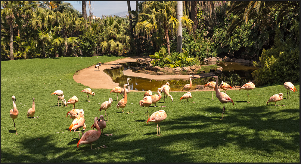 Ein Paradies für Vögel