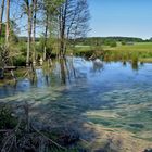 ein Paradies für Wildvögel...