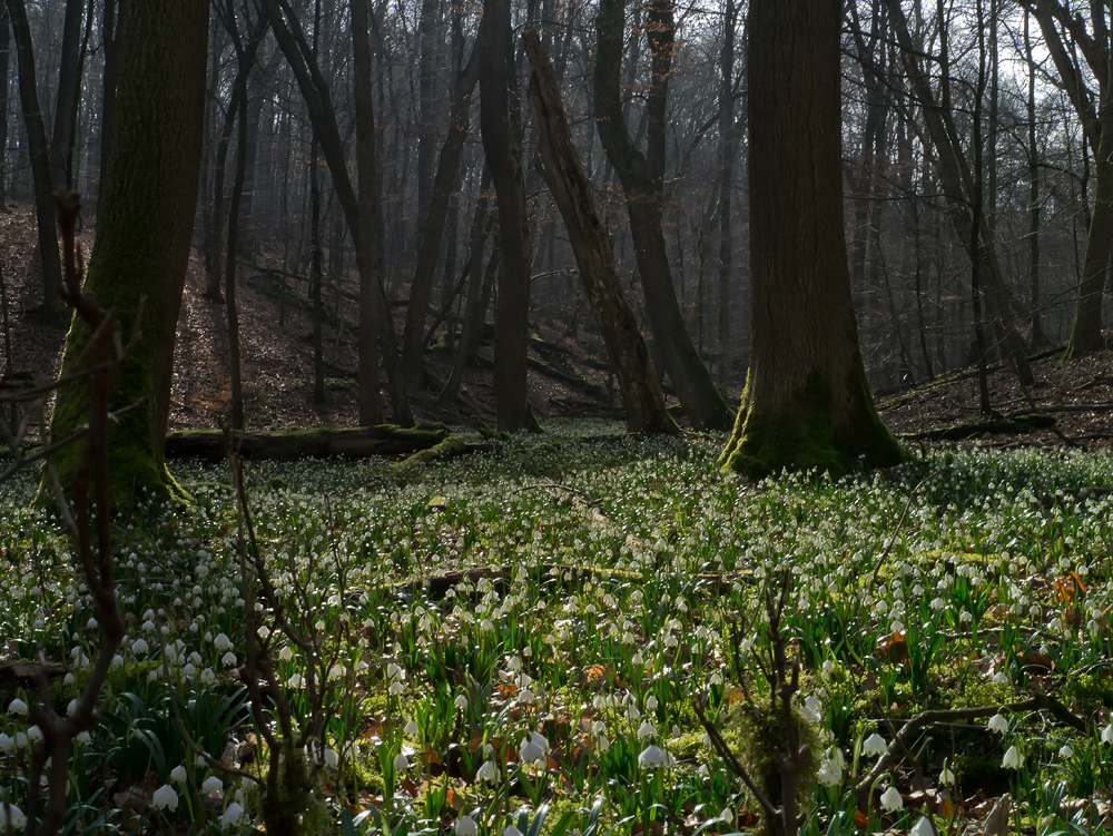 Ein paradiesischer Ort 2