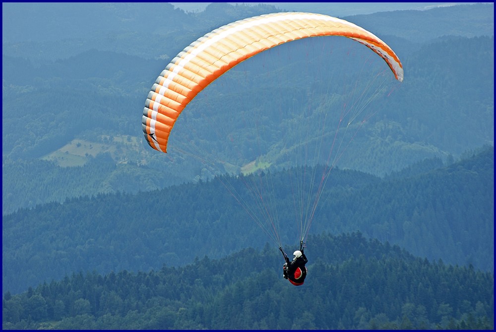 Ein Paraglider im Nordschwarzwald (Zuflucht)