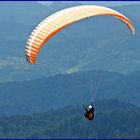 Ein Paraglider im Nordschwarzwald (Zuflucht)