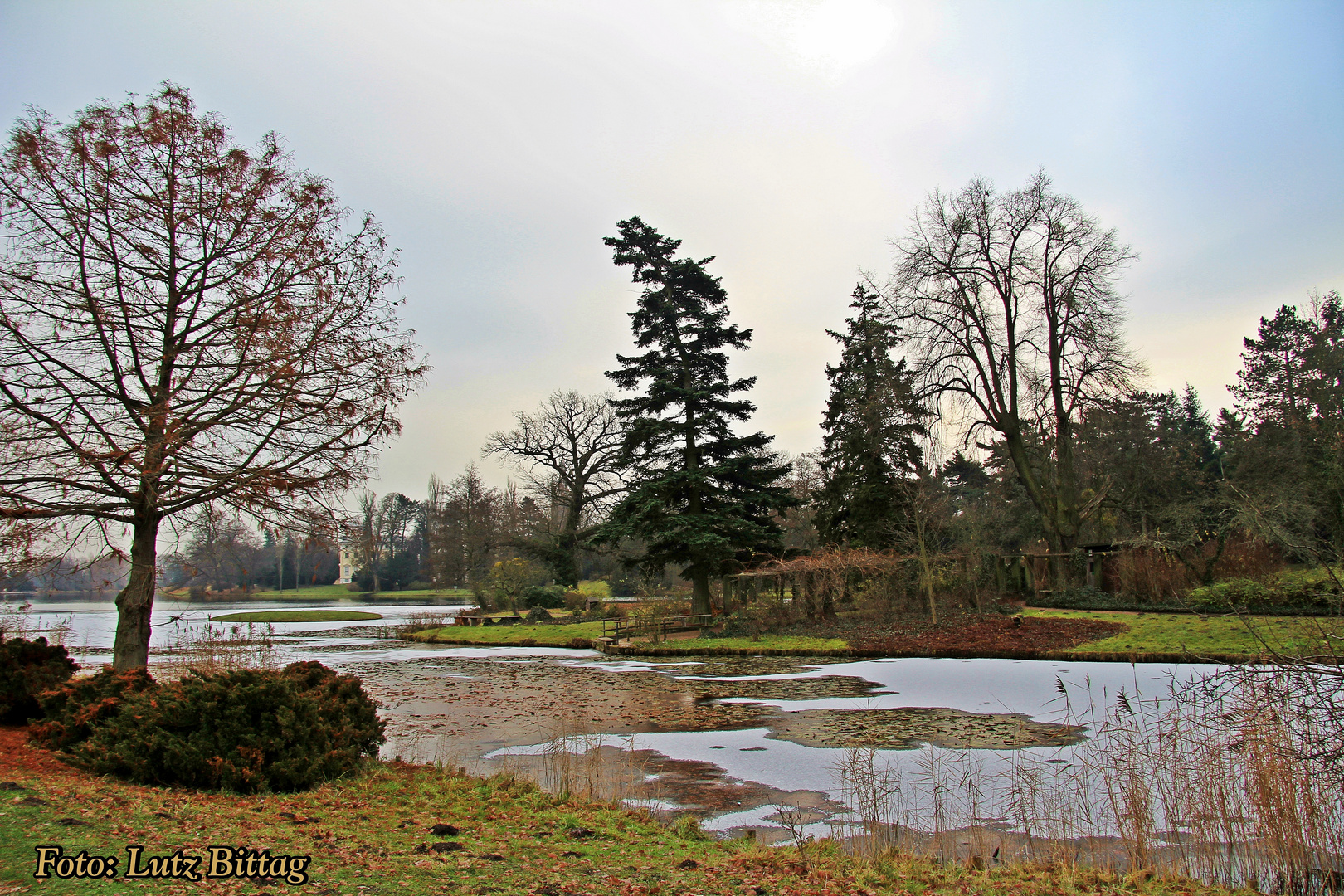 Ein Park erwacht