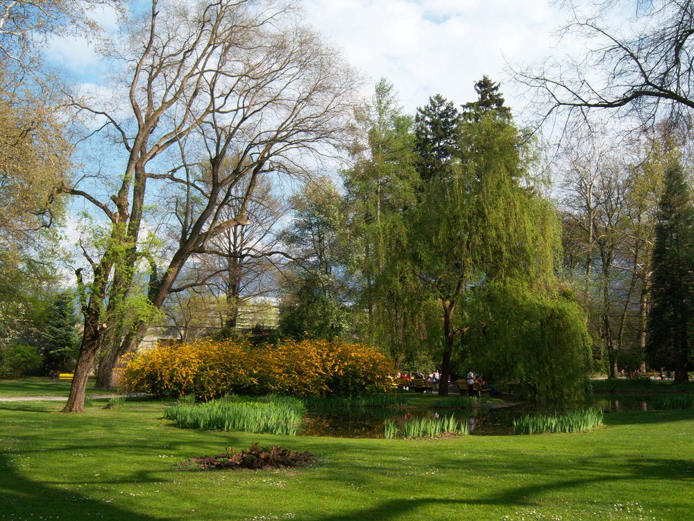 Ein Park im Frühling