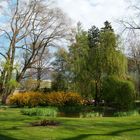 Ein Park im Frühling