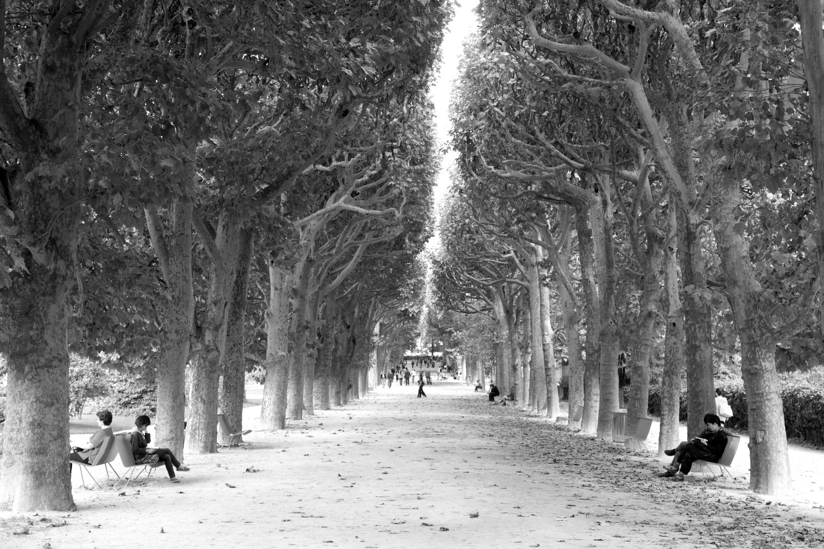 Ein Park in paris