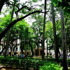 Ein Park mitten in Cartagena