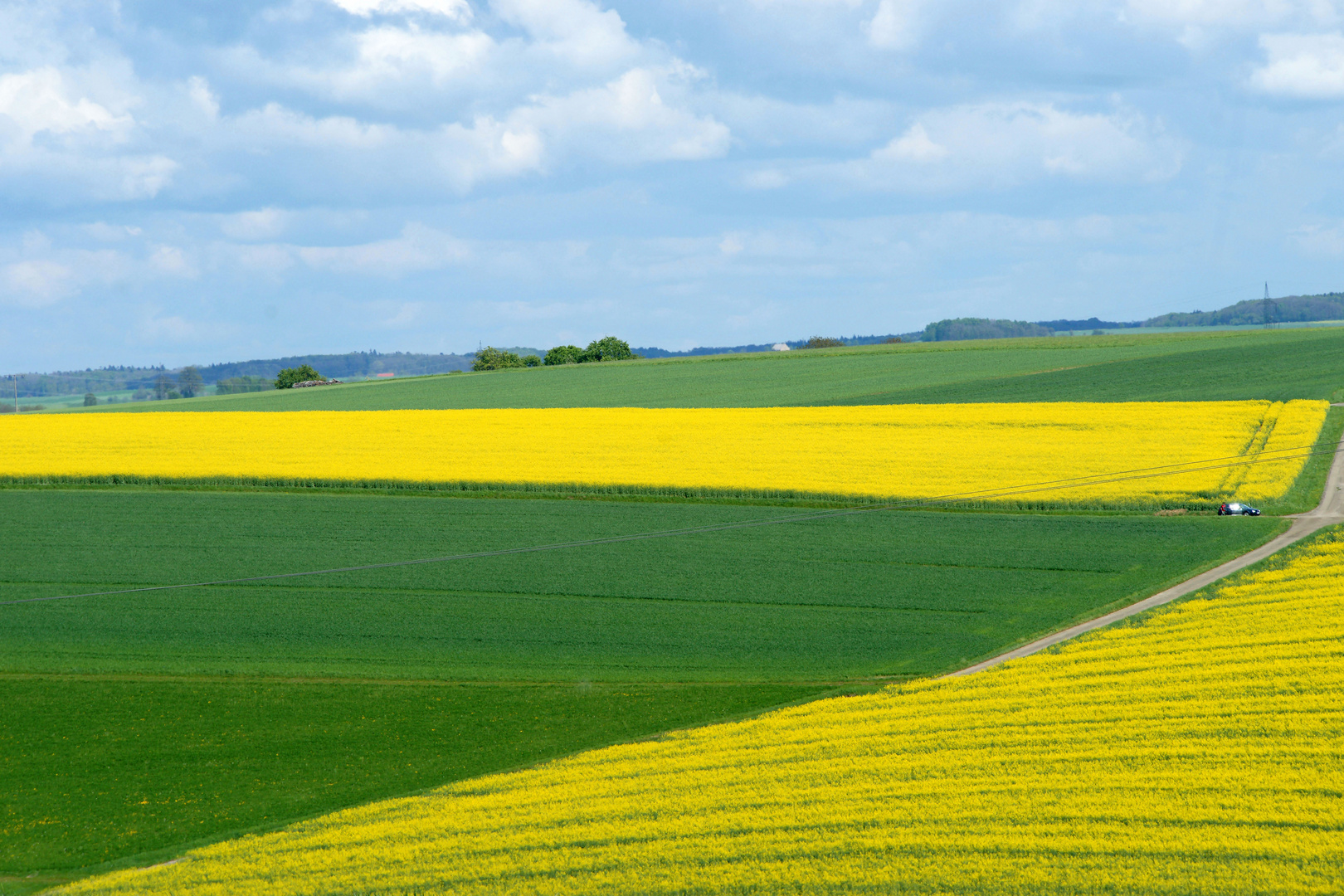 Ein Patchwork-Teppich der Natur.