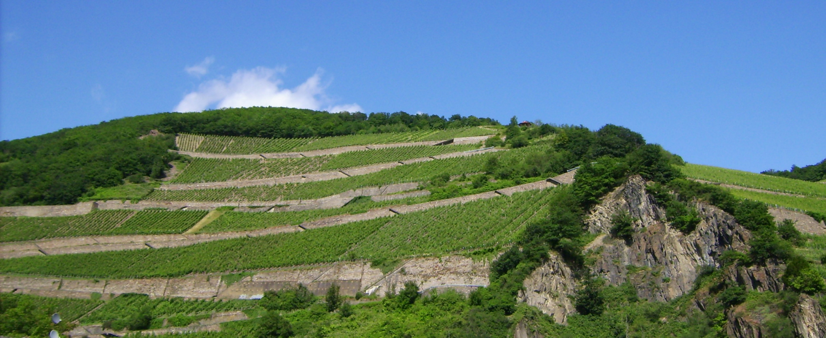 Ein Pavillon  auf dem Weinberg von Assmannshausen am Mittelrhein